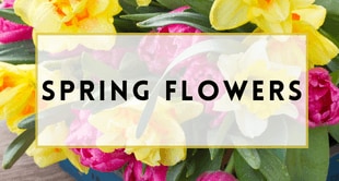Flower Delivery to Exton by Blossom Boutique Florist & Flower Delivery